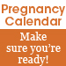 Pregnancy Calendar