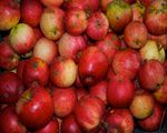 Apple Butter Jam
