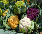 Roasted Cauliflower