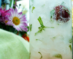 Bada Bing Cocktail