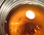 Basic Bill Cocktail