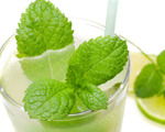 Basil Hayden and Fresh Mint Cocktail