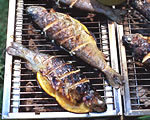BBQ Bass