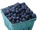 Maine Blueberry Cake