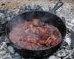 Campfire Venison Stew 
