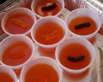 Amber Caterpillars
