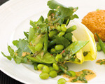 Chicory, Edamame and Arugula Salad
