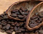 Cocoa Cinnamon Spice Tea Blend