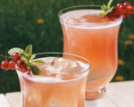 Cranberry Lemon Spritzer