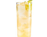 Cranberry Vodka Mule Cocktail