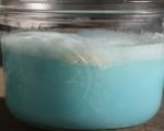 Pacific Deep Sea Punch
