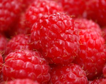 Drunken Raspberries