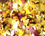 Deluxe Egg Casserole