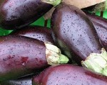 Baked Eggplant