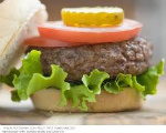 Basic Burger