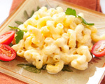 Probiotic Rich Macaroni & Cheese