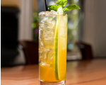 Mint and Gin Memory