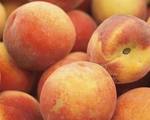 Company Peach Delight