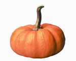 Pumpkin Dessert