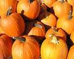 Pumpkin Bread in a Jar