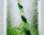 Queen's Park Swizzle