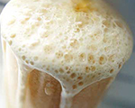 Real Root Beer