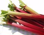 Rhubarb Syrup