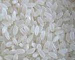 Surprise Rice Casserole