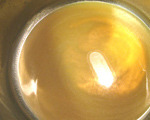 Rich Simple Syrup