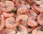 Island Shrimp