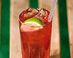 Summer Beefeater and Cranberry Cocktail