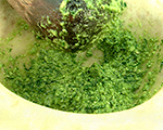 Tarragon Pesto