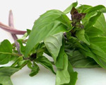 Thai Basil Syrup