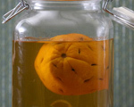 The 44 Cordial