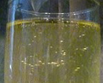 The Etude Cocktail