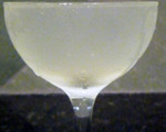 The Holland House Cocktail
