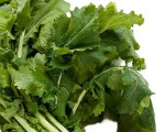 Turnip Roots