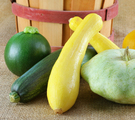 Fried Summer Squash