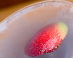 Image of ViolacÃ© Cocktail, SheKnows