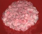 Wisconsin Cranberry Salad
