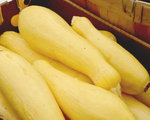 Squash Casserole