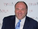 <em>Sopranos</em> star James Gandolfini dead at 51