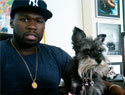 4-Legged superstars: Our favourite celebrity pets