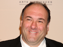 James Gandolfini dead following suspected heart attack