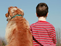 How dogs help children with autism