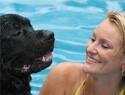 6 Summer activities for your dog