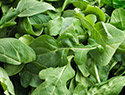 Ways to incorporate more leafy greens into your diet