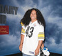 Troy Polamalu