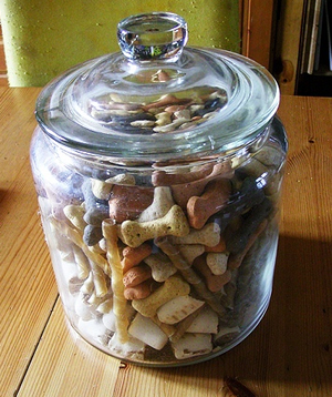 Pet treat container