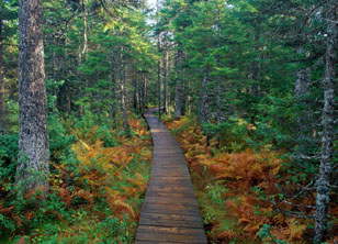 Fundy National Park